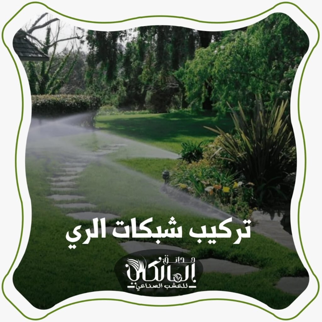 WhatsApp Image 2024-08-21 at 11.07.23 AM