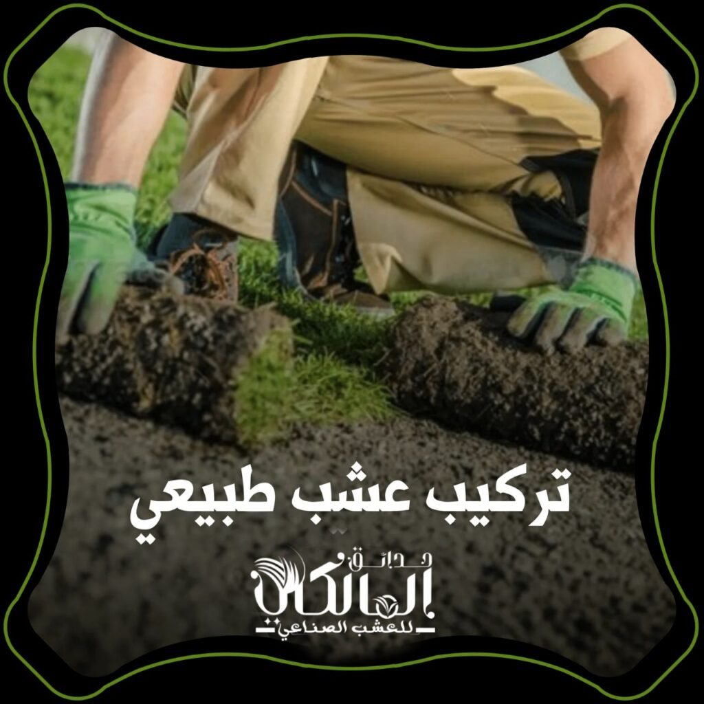 تنسيق الحدائق بالرياض
