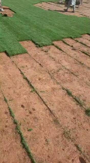 توريد الثيل الطبيعي 